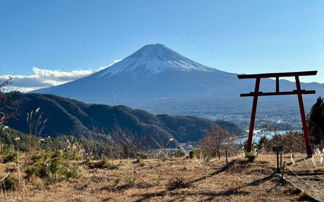 Happy New Year from Japan !