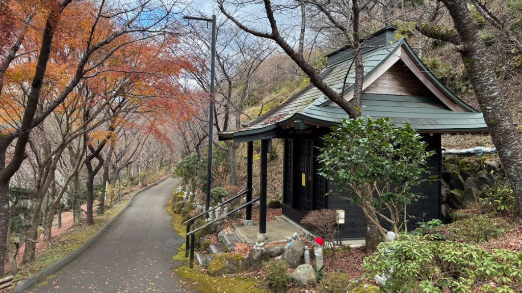 Lionel Reynaud (Mugai-ryu Meishi Ha) 