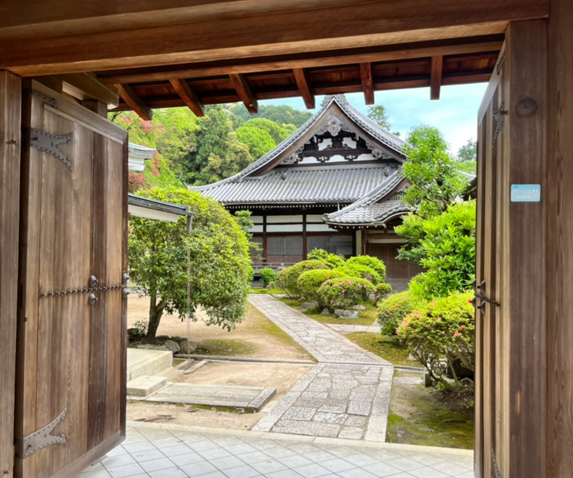 Follow Liomugai on Instagram