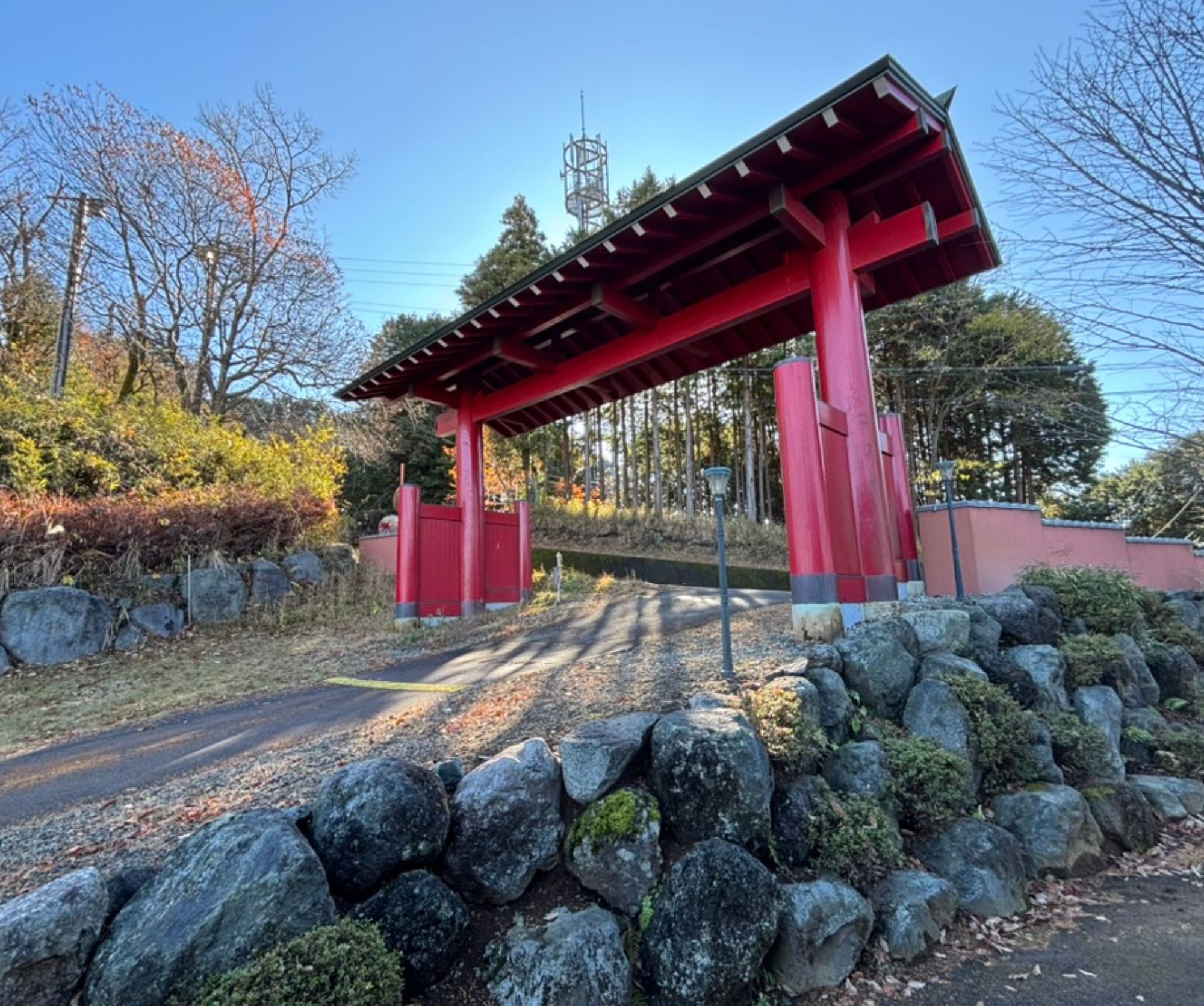 Follow Liomugai on Instagram