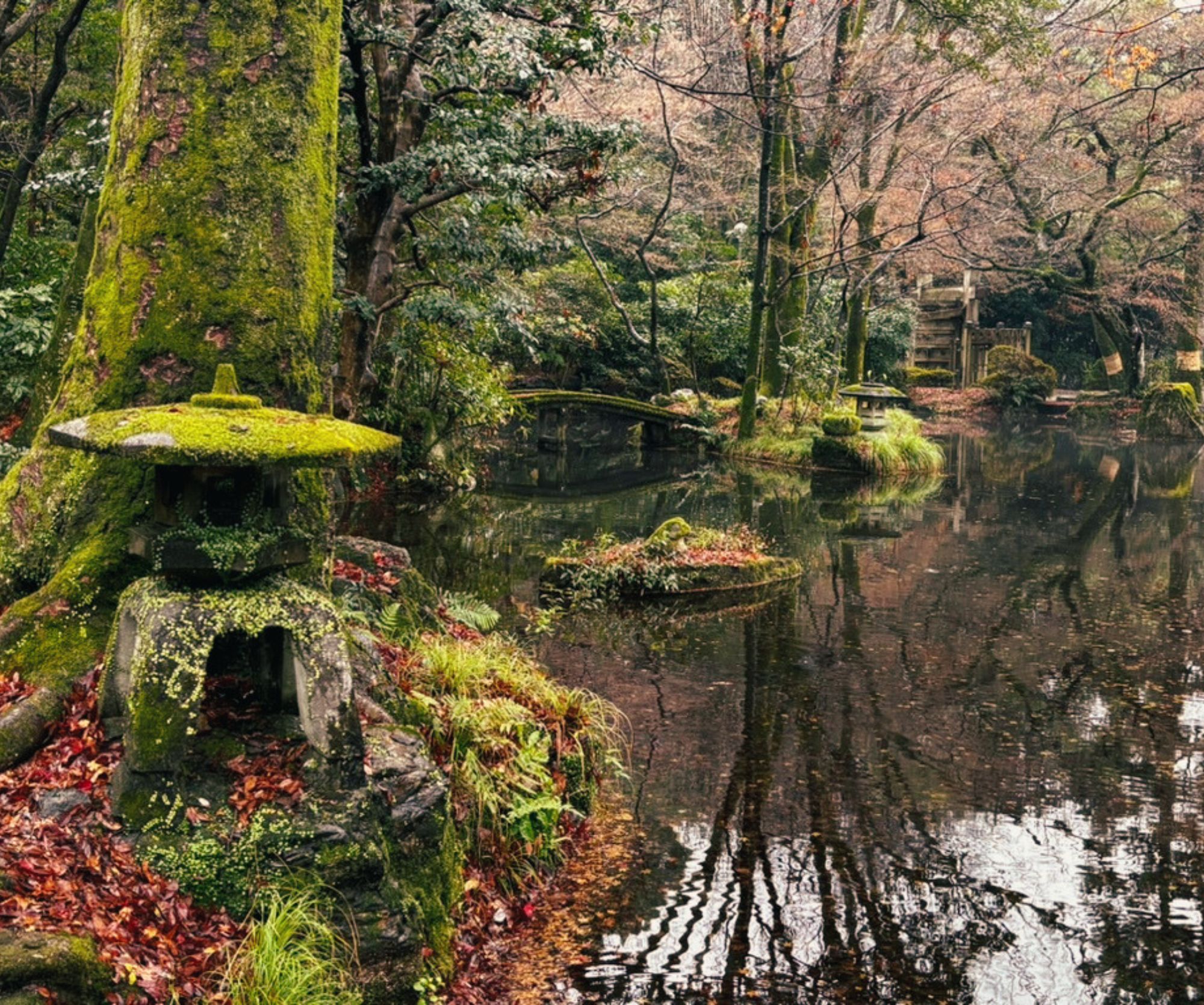 Follow Liomugai on Instagram